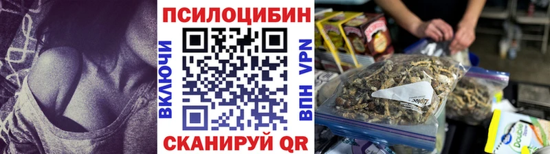 МЕГА маркетплейс Верхняя Салда Псилоцибиновые грибы GOLDEN TEACHER это телеграм сколько стоит
