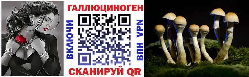 Псилоцибиновые грибы Psilocybe Верхняя Салда